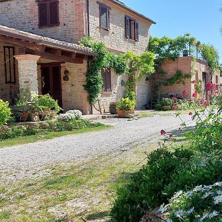 Casale San Martino Agriturismo Bio Sant'Angelo in Pontano Dış mekan fotoğraf