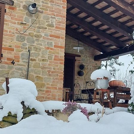 Casale San Martino Agriturismo Bio Sant'Angelo in Pontano Dış mekan fotoğraf