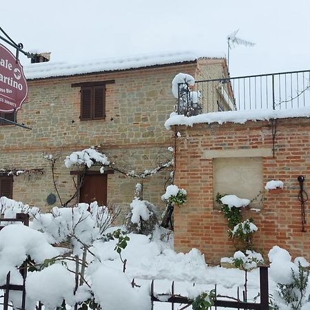 Casale San Martino Agriturismo Bio Sant'Angelo in Pontano Dış mekan fotoğraf