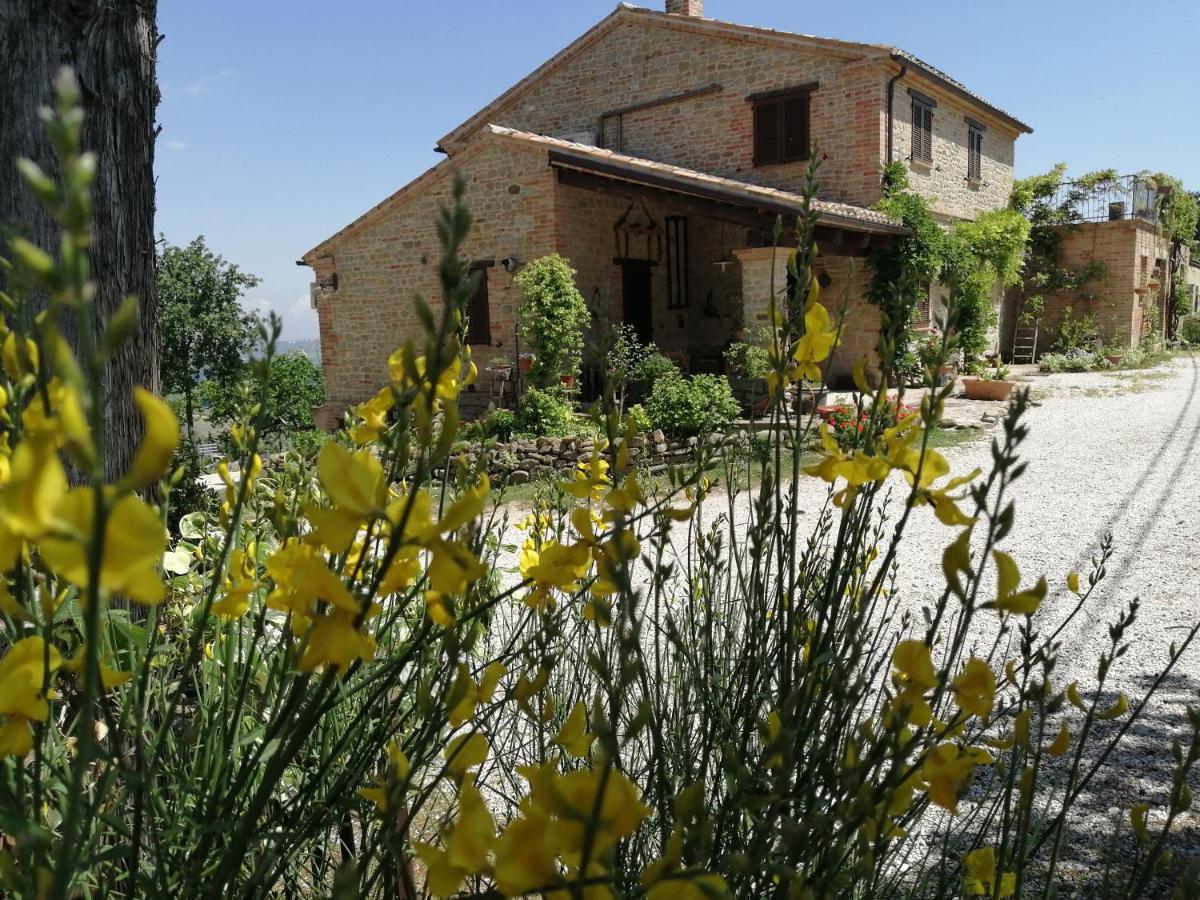 Casale San Martino Agriturismo Bio Sant'Angelo in Pontano Dış mekan fotoğraf