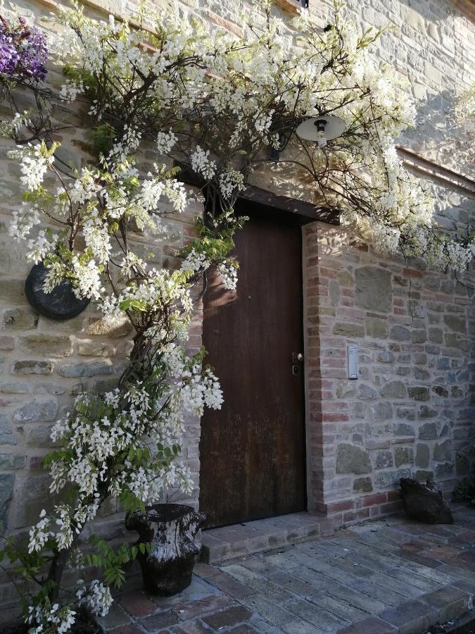 Casale San Martino Agriturismo Bio Sant'Angelo in Pontano Dış mekan fotoğraf