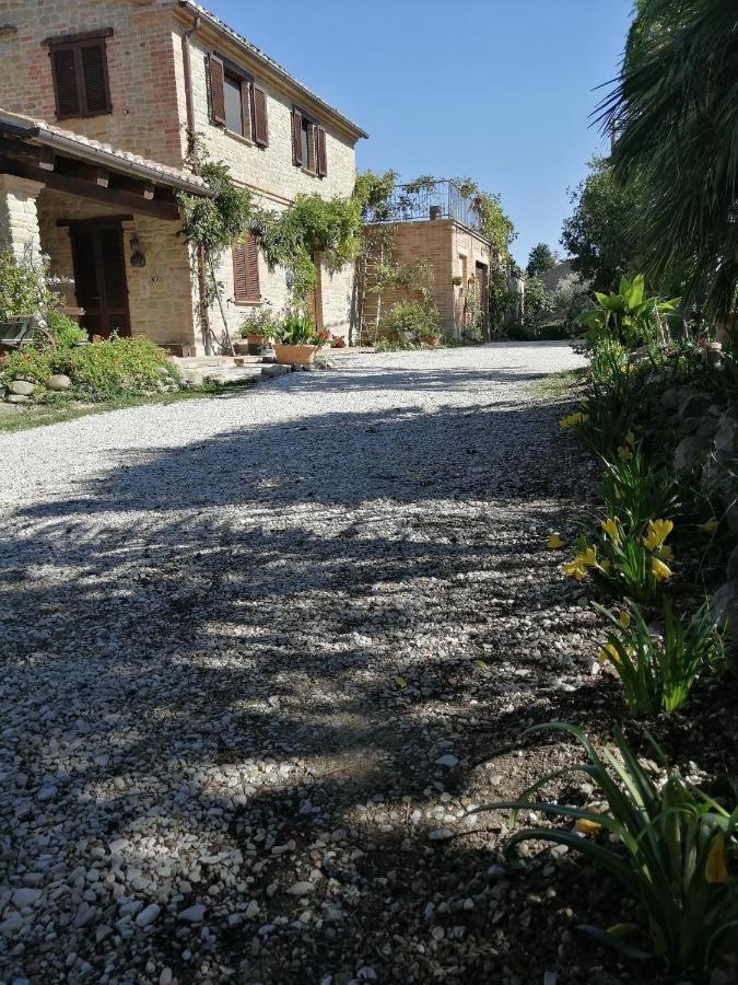 Casale San Martino Agriturismo Bio Sant'Angelo in Pontano Dış mekan fotoğraf