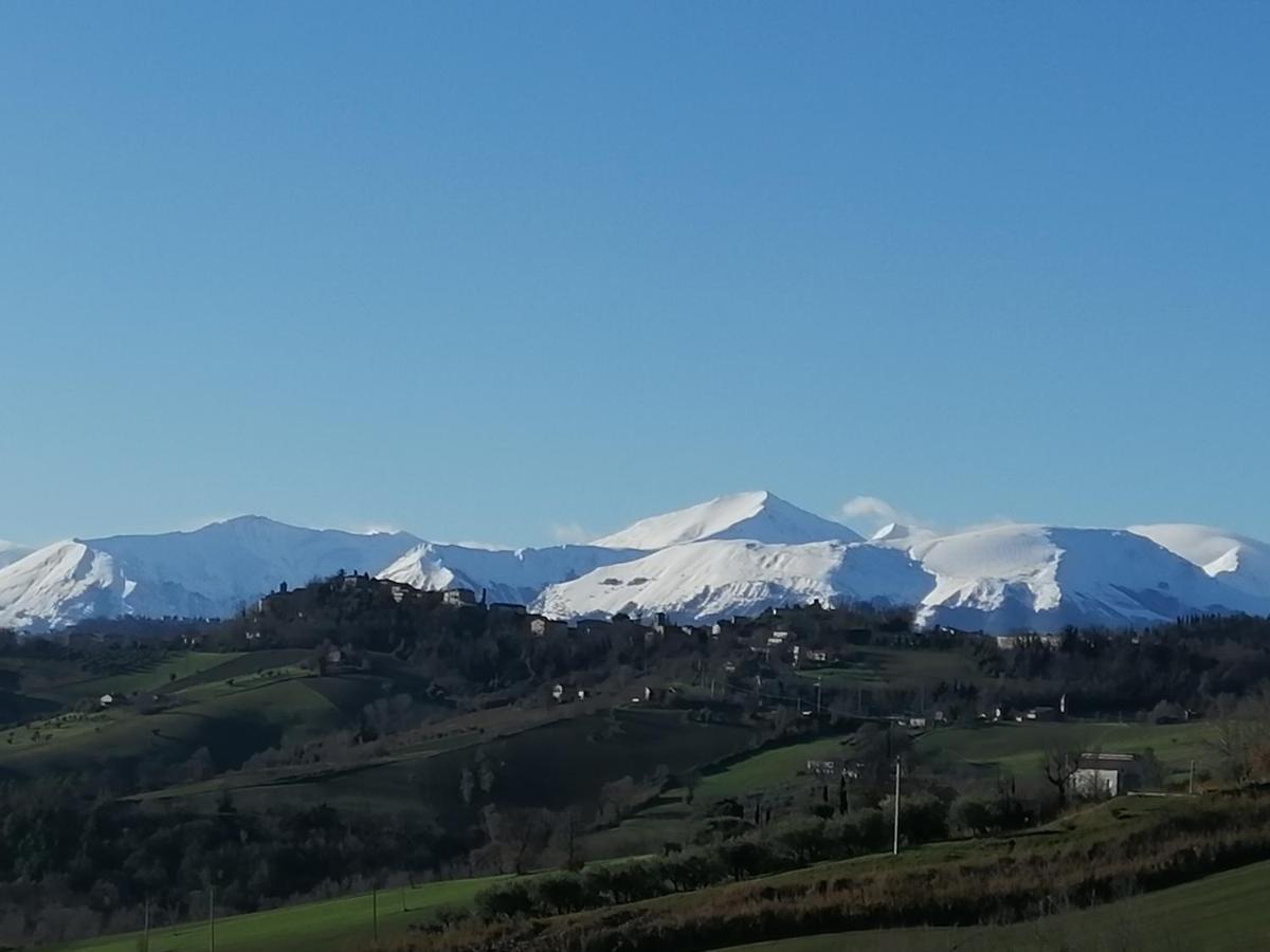 Casale San Martino Agriturismo Bio Sant'Angelo in Pontano Dış mekan fotoğraf
