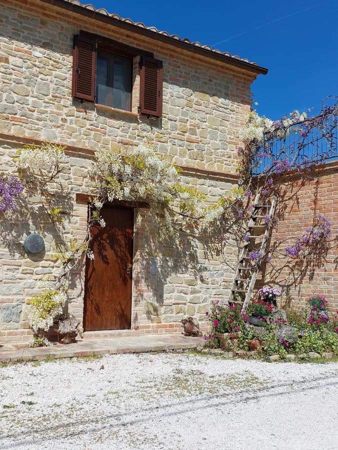 Casale San Martino Agriturismo Bio Sant'Angelo in Pontano Dış mekan fotoğraf