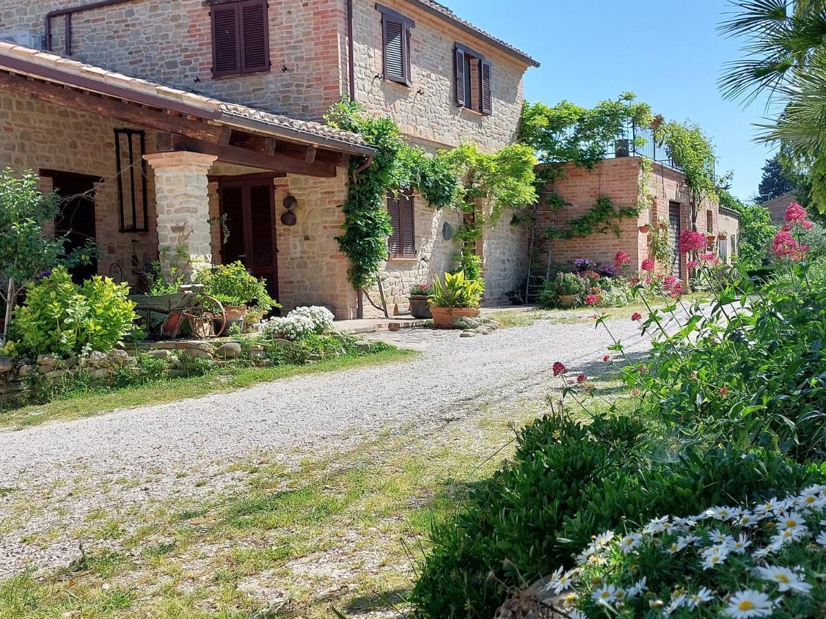 Casale San Martino Agriturismo Bio Sant'Angelo in Pontano Dış mekan fotoğraf
