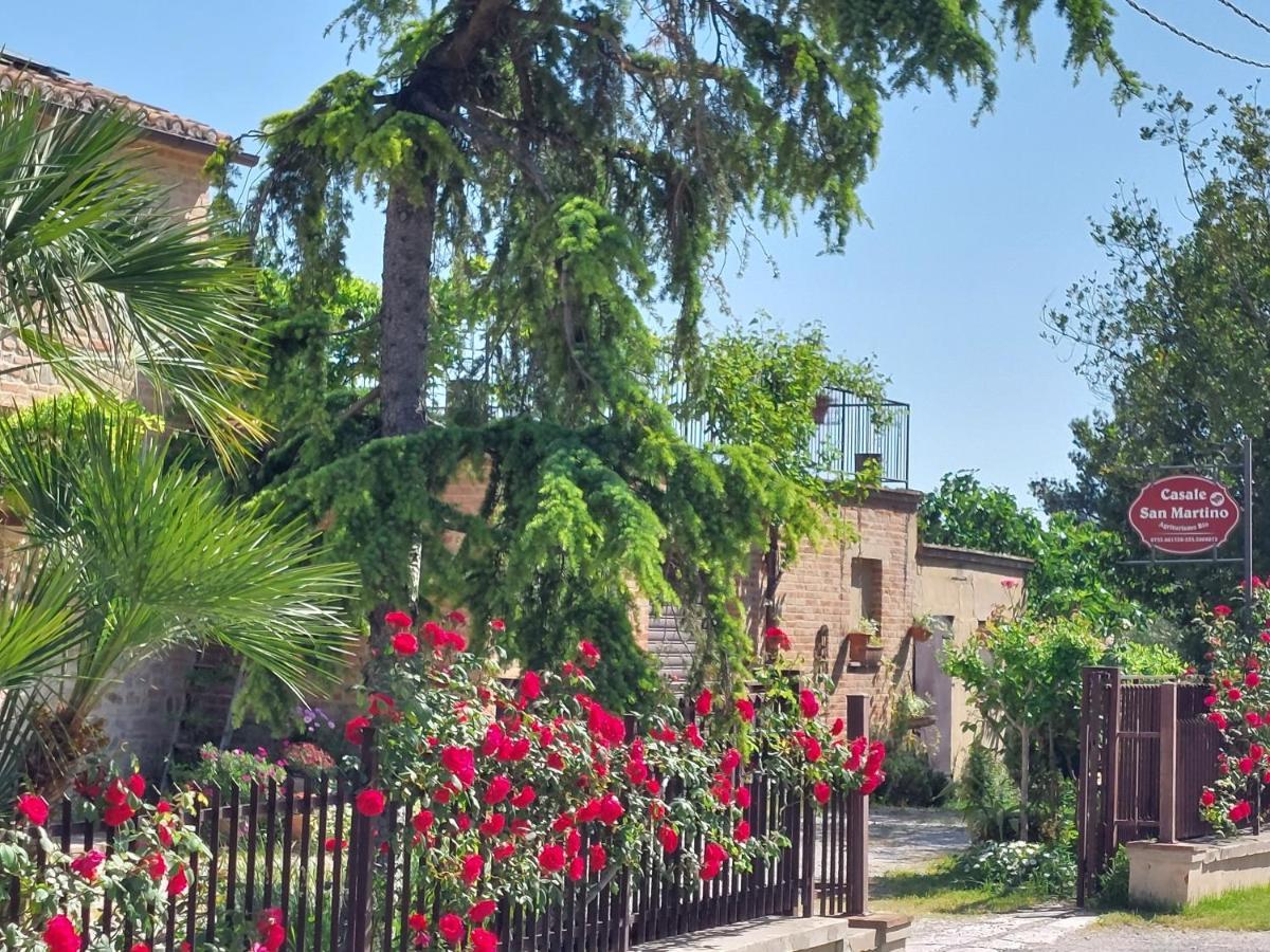 Casale San Martino Agriturismo Bio Sant'Angelo in Pontano Dış mekan fotoğraf