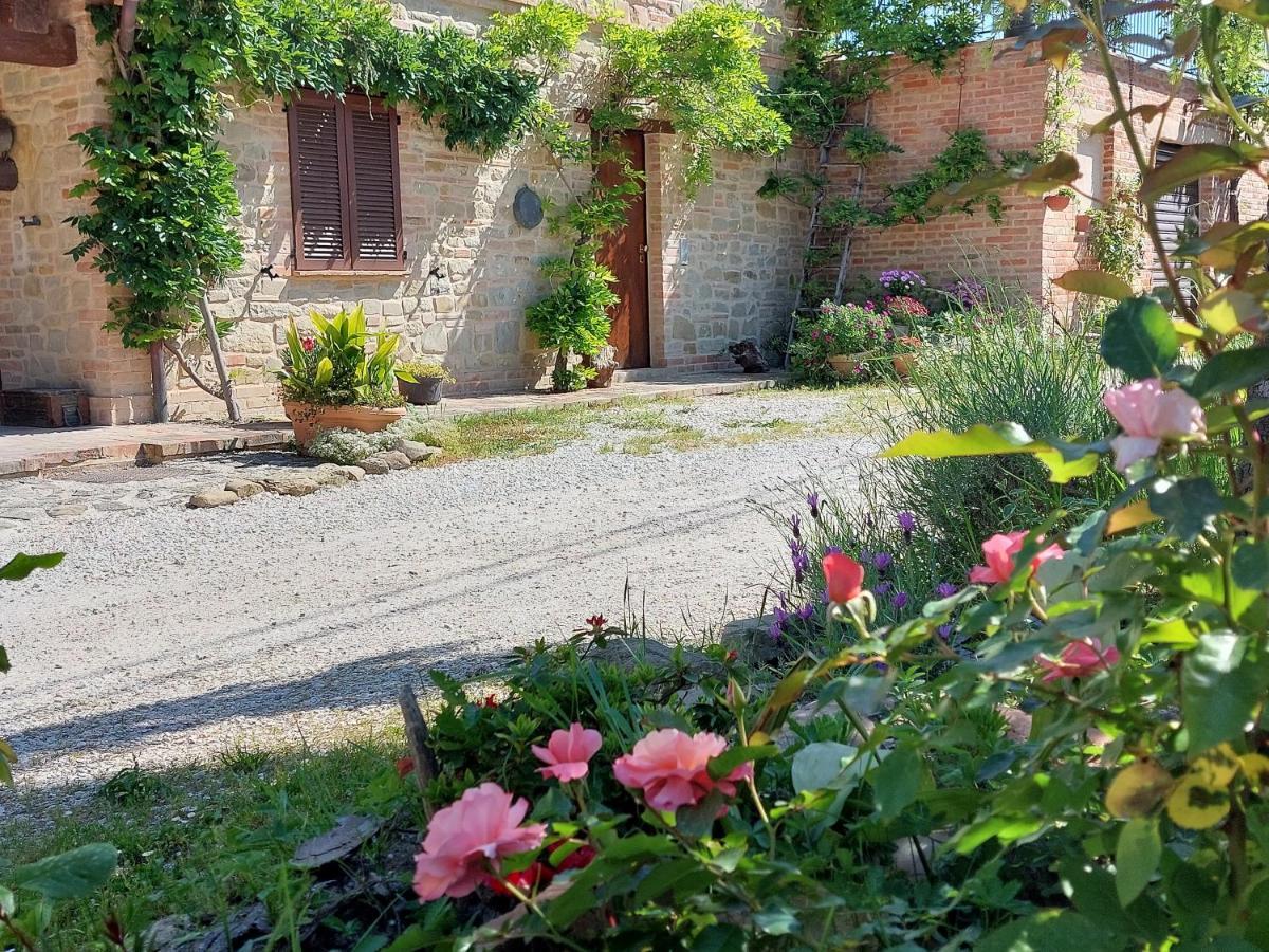Casale San Martino Agriturismo Bio Sant'Angelo in Pontano Dış mekan fotoğraf