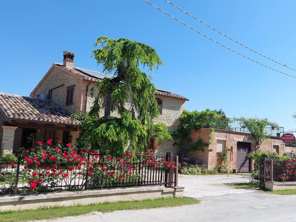 Casale San Martino Agriturismo Bio Sant'Angelo in Pontano Dış mekan fotoğraf