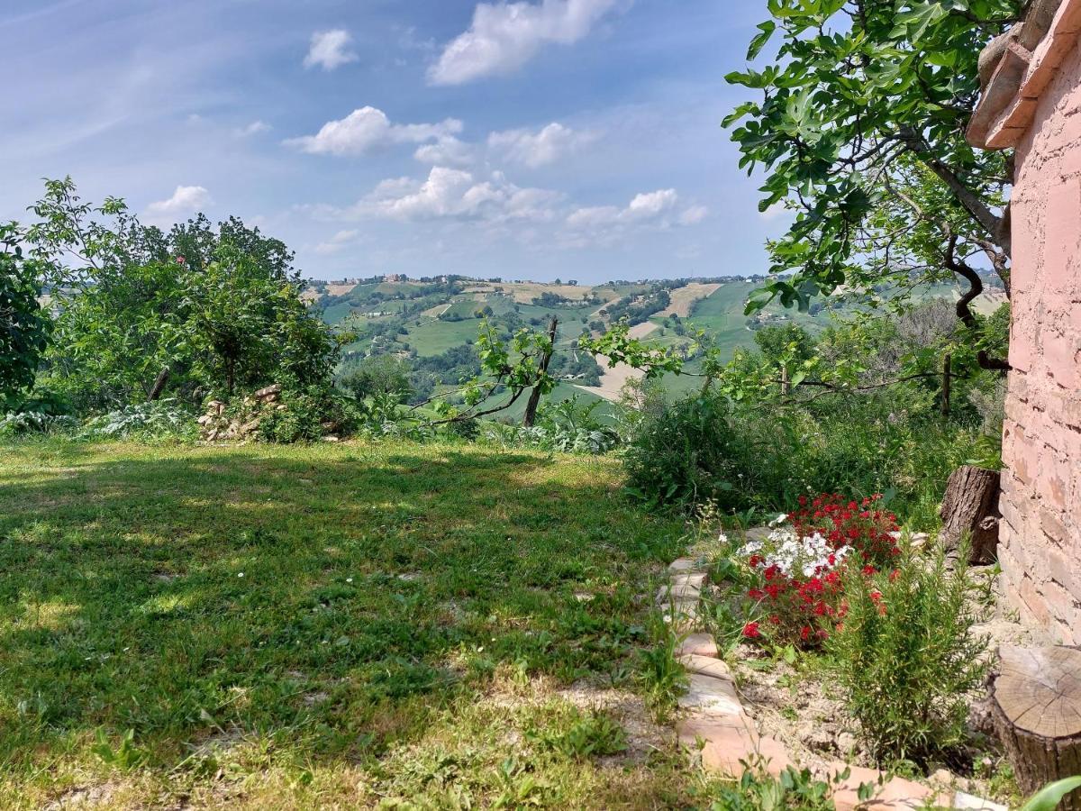 Casale San Martino Agriturismo Bio Sant'Angelo in Pontano Dış mekan fotoğraf