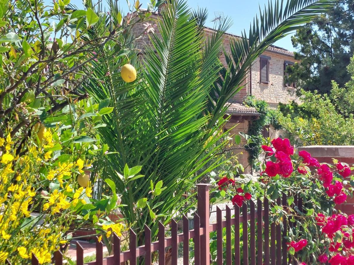Casale San Martino Agriturismo Bio Sant'Angelo in Pontano Dış mekan fotoğraf