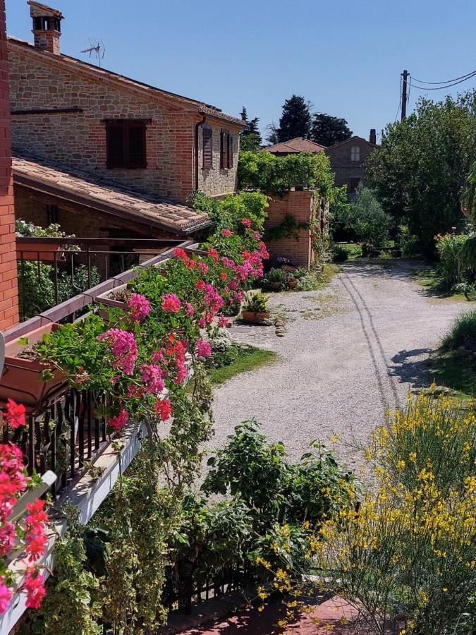 Casale San Martino Agriturismo Bio Sant'Angelo in Pontano Dış mekan fotoğraf