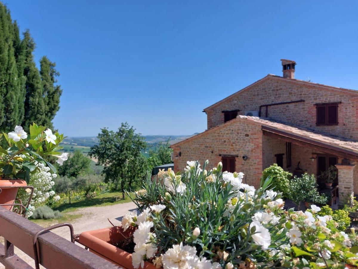 Casale San Martino Agriturismo Bio Sant'Angelo in Pontano Dış mekan fotoğraf