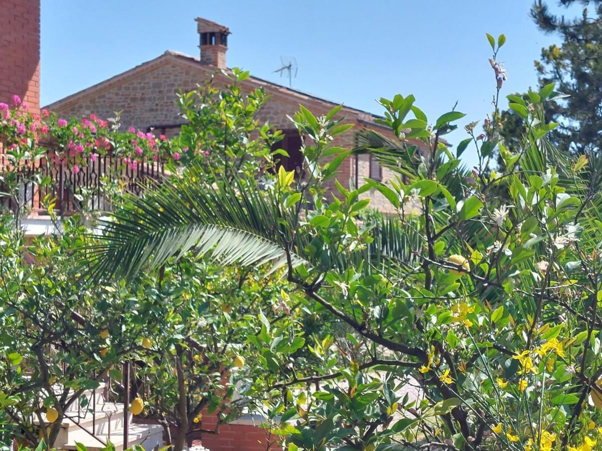 Casale San Martino Agriturismo Bio Sant'Angelo in Pontano Dış mekan fotoğraf