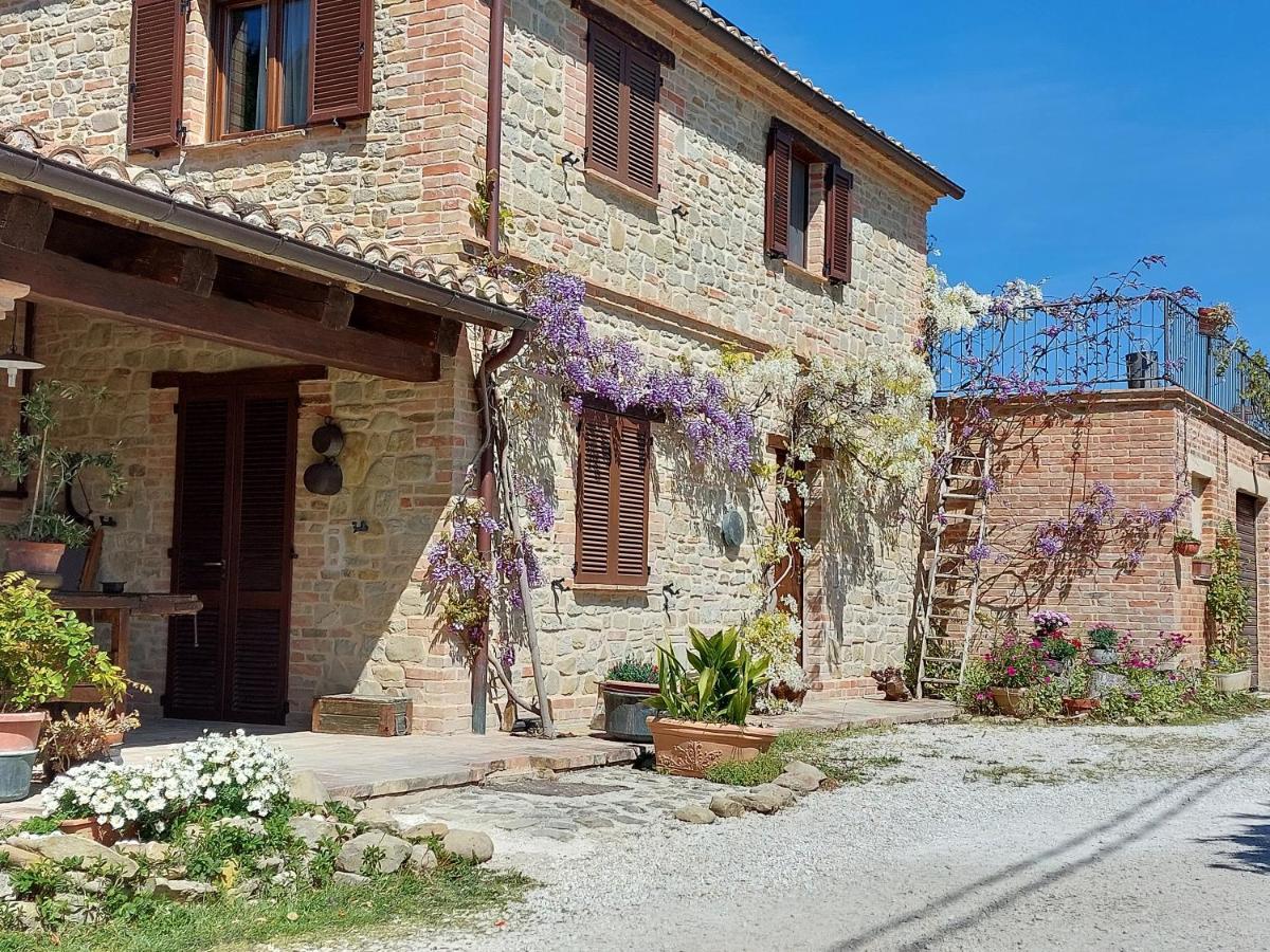 Casale San Martino Agriturismo Bio Sant'Angelo in Pontano Dış mekan fotoğraf
