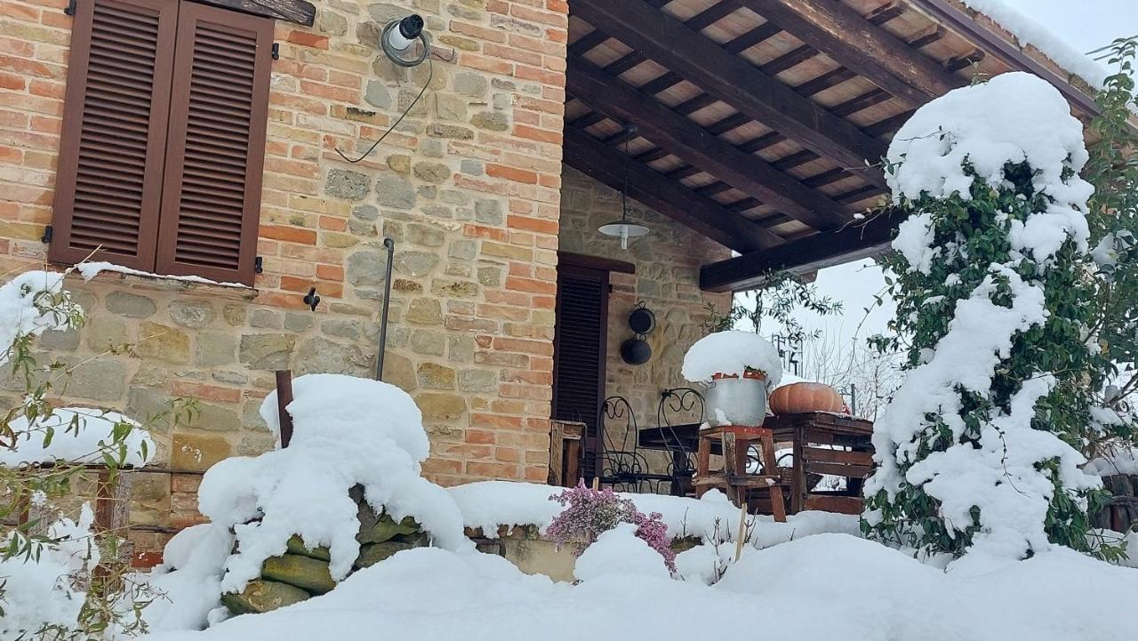 Casale San Martino Agriturismo Bio Sant'Angelo in Pontano Dış mekan fotoğraf