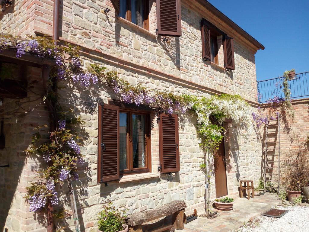 Casale San Martino Agriturismo Bio Sant'Angelo in Pontano Dış mekan fotoğraf