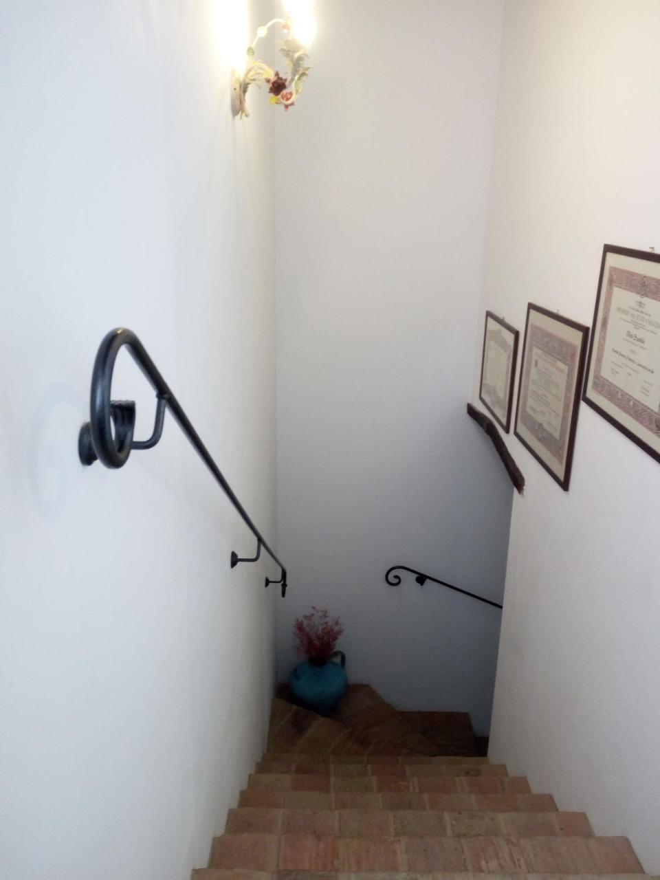 Casale San Martino Agriturismo Bio Sant'Angelo in Pontano Dış mekan fotoğraf
