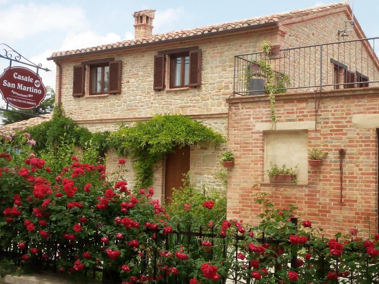 Casale San Martino Agriturismo Bio Sant'Angelo in Pontano Dış mekan fotoğraf