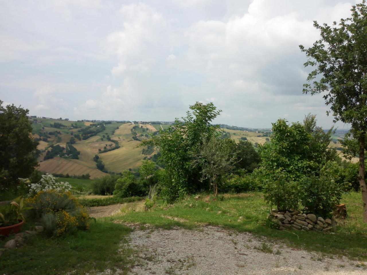 Casale San Martino Agriturismo Bio Sant'Angelo in Pontano Dış mekan fotoğraf